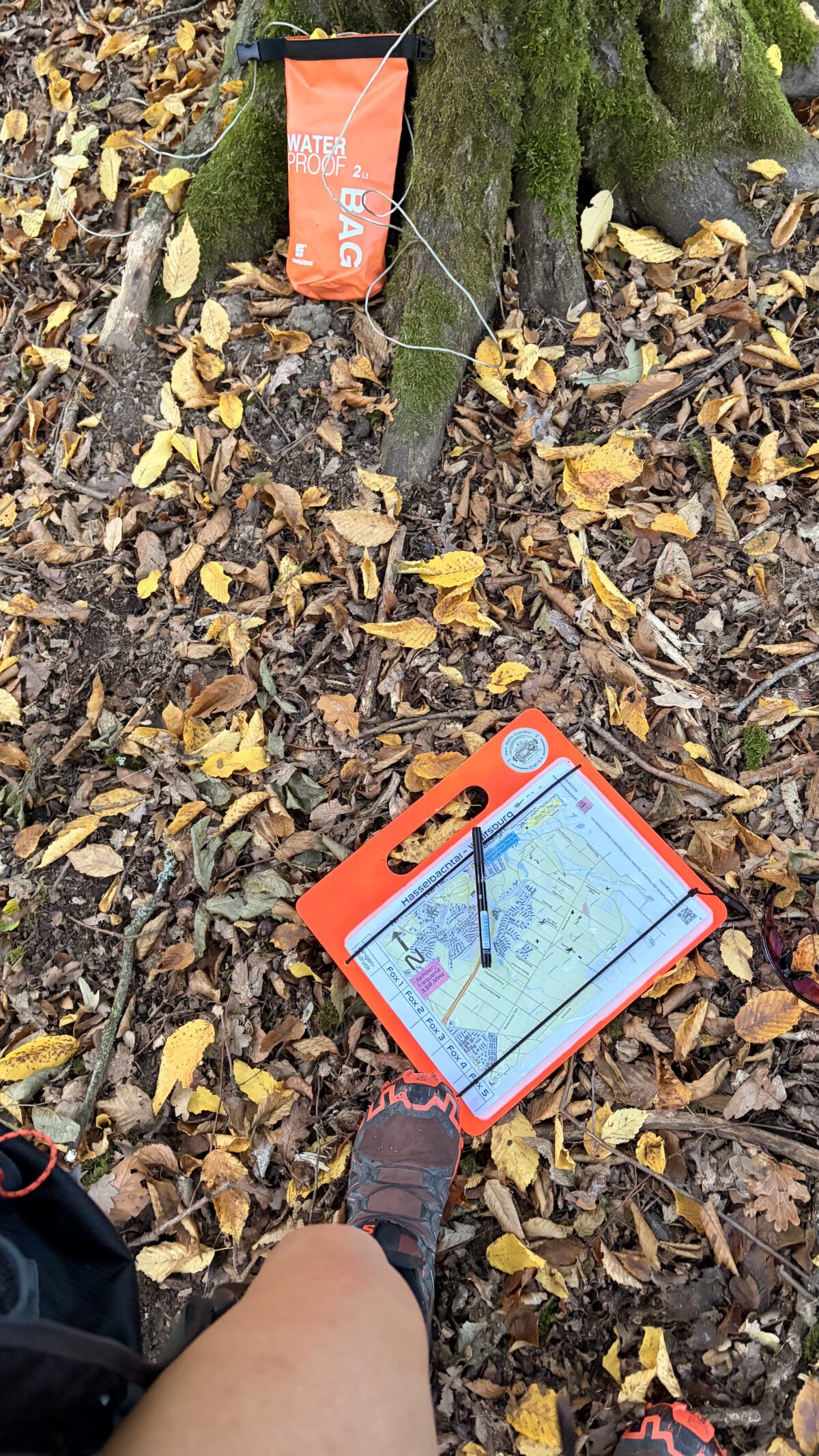 🦊 Die Füchse sind wieder los! – Drei Peiltrainings für Herbst und Winter 📡🌲